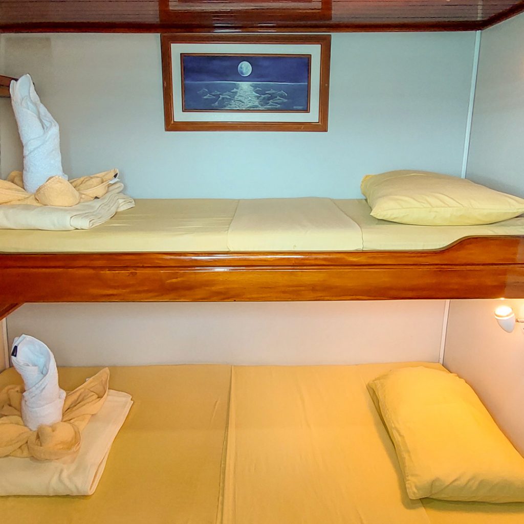 Bunk Bed Cabin Aida Maria Galapagos Cruise