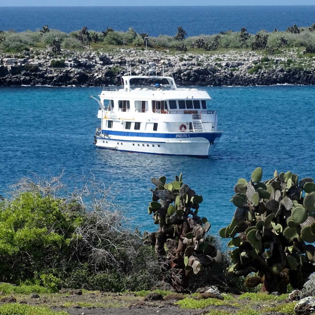 Angelito Galapagos Cruise