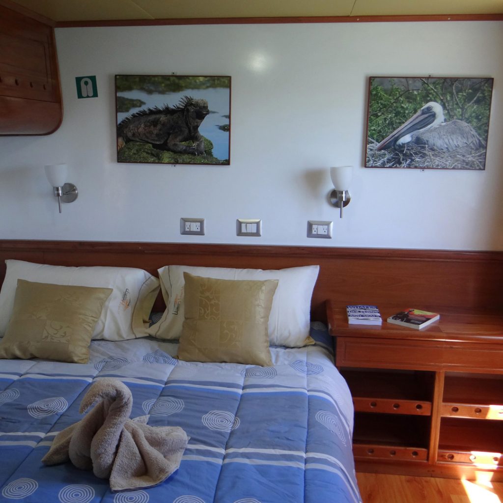 Double Cabin Angelito Galapagos Cruise