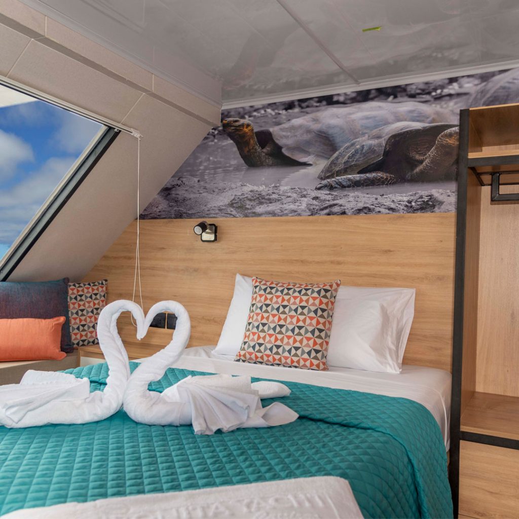 Double Cabin Bonita Galapagos Cruise
