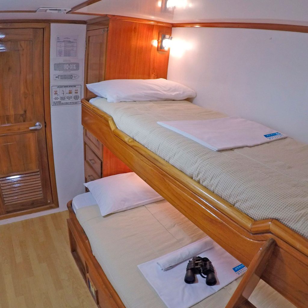 Bunk Bed Cabin Eden Galapagos Yacht