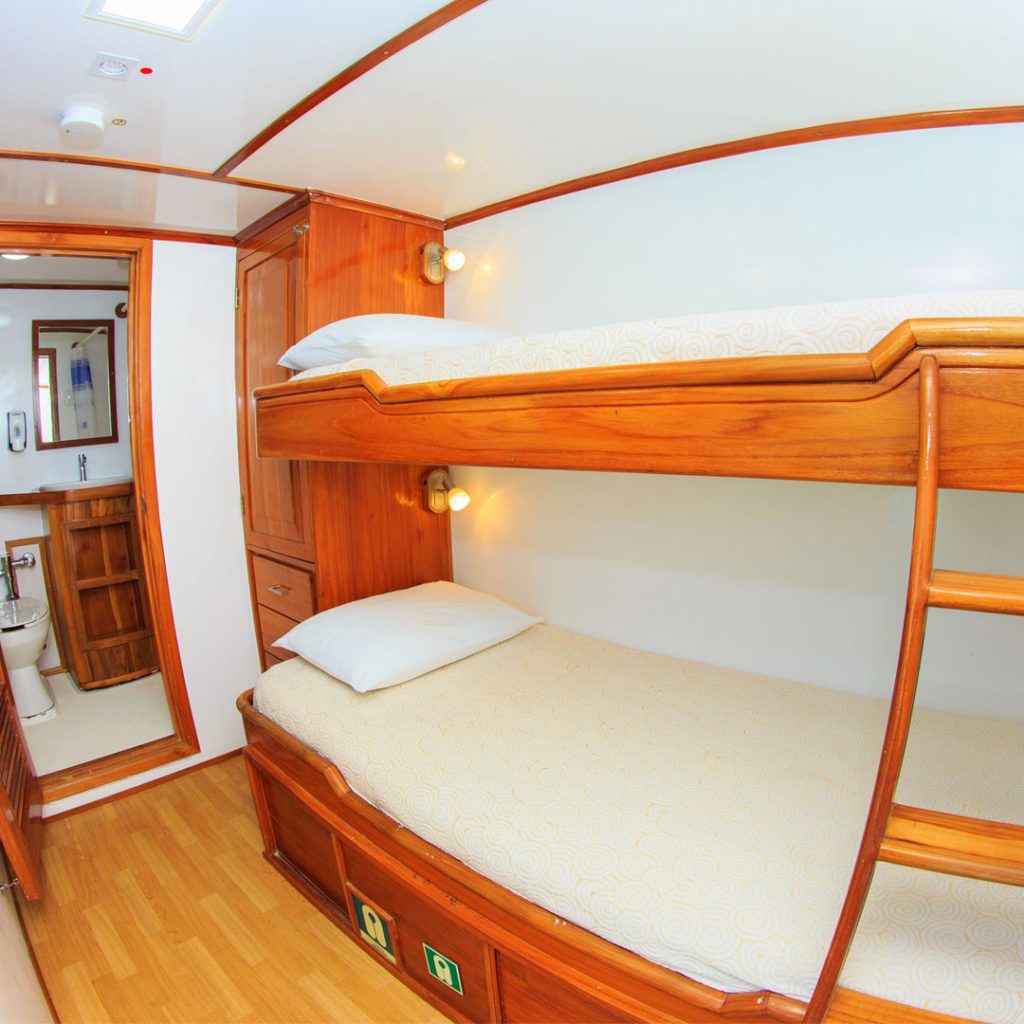 Twin Cabin w/Bunk Bed Eden Galapagos Yacht