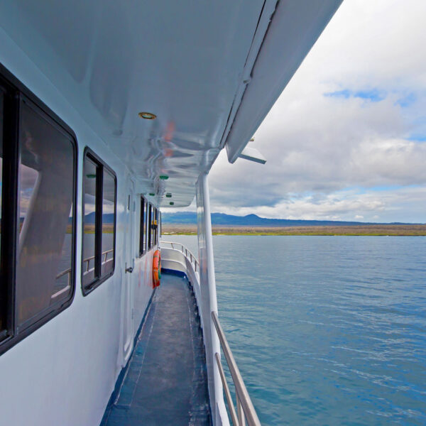Hall Estrella del Mar Galapagos Cruise