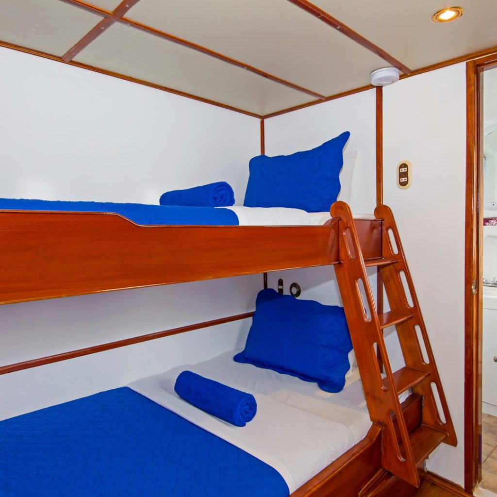 Upper Deck Cabin Estrella del Mar Galapagos Cruise