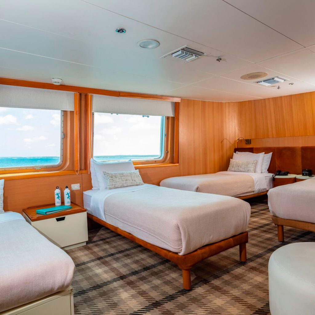 Junior Suite Quadruple Legend Galapagos Cruise