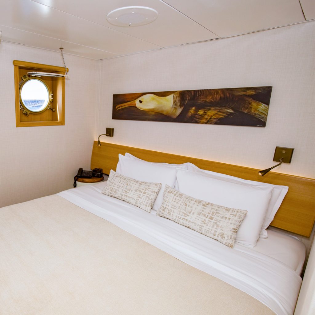 Standard Plus Cabin Legend Galapagos Cruise