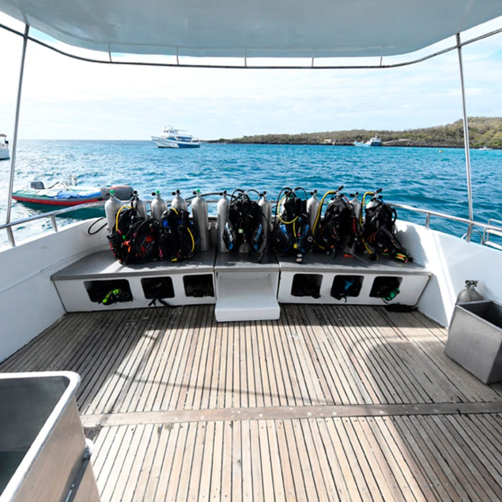 Diving Kits Humboldt Explorer Galapagos Cruise