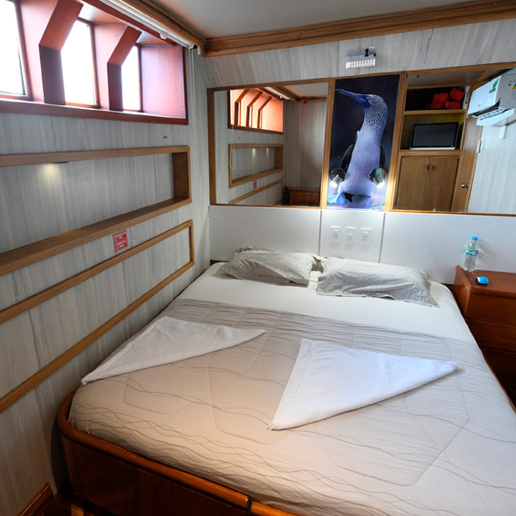Double Cabin Humboldt Explorer Cruise