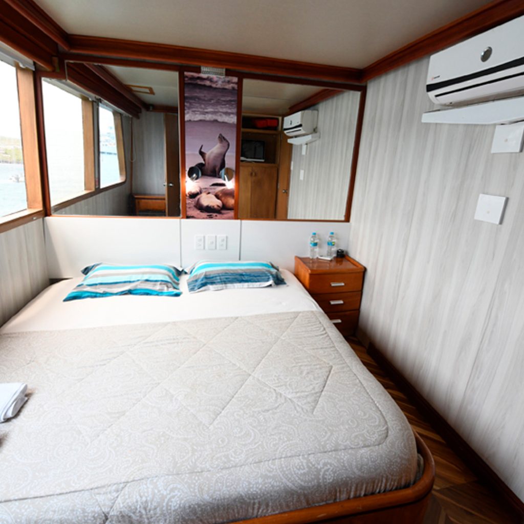 Matrimonial Bed Cabin Humboldt Explorer Cruise