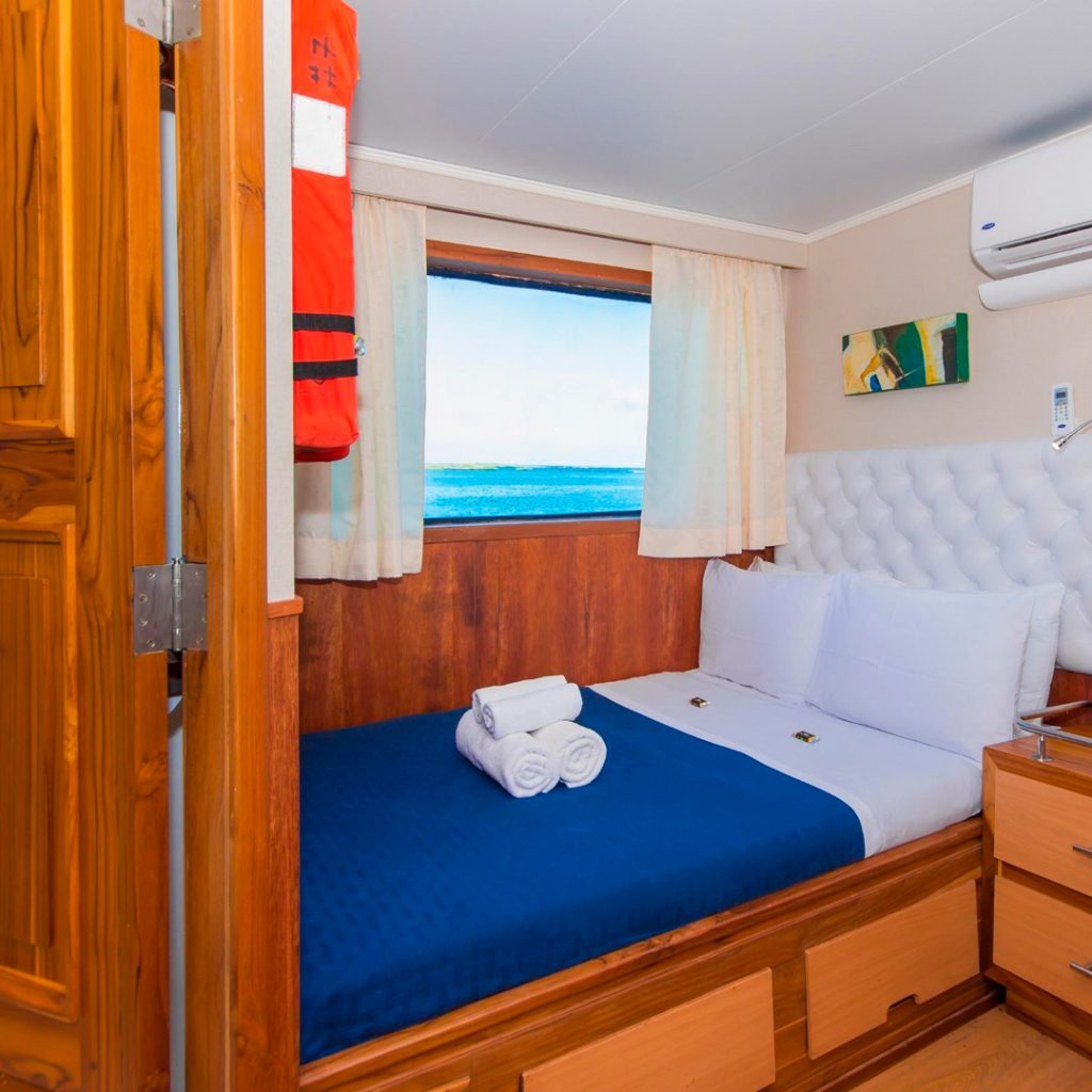 Single Deck Cabin Koln Galapagos Yacht