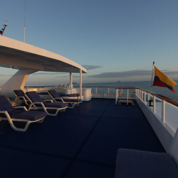 Sundeck Millennium Galapagos Cruise