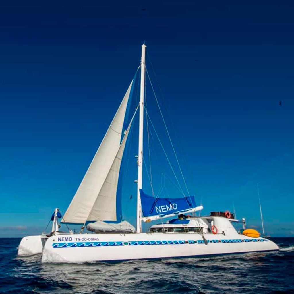 Nemo 1 Galapagos Yacht
