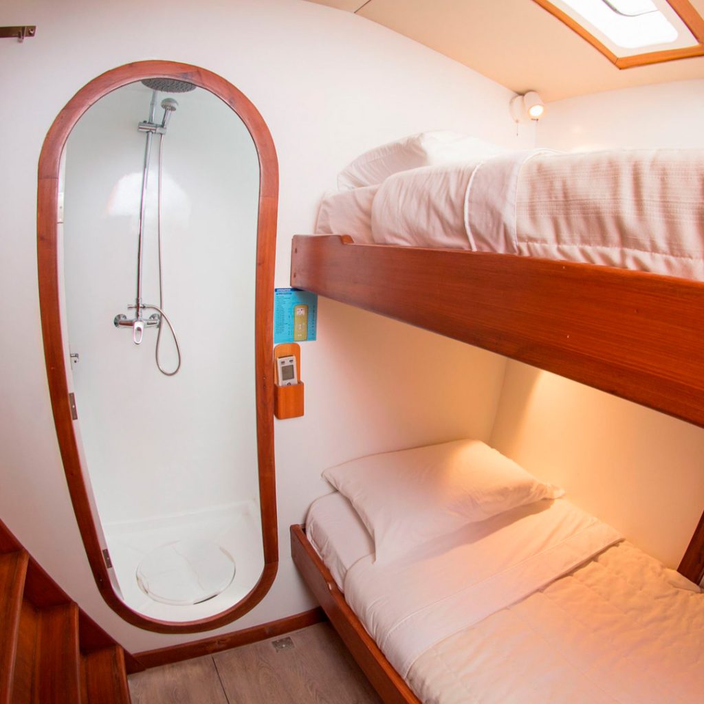 Standard Bunk Bed Cabin Nemo 2 Galapagos Catamaran