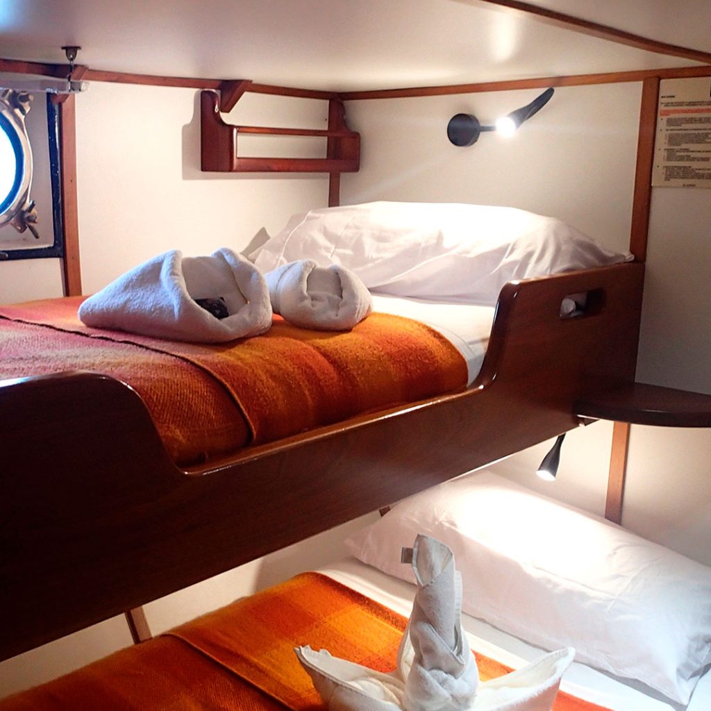 Bunk Bed Samba Galapagos Cruise
