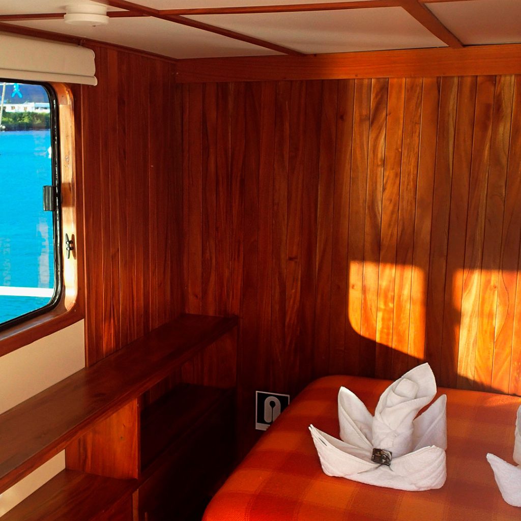 Double Cabin Samba Galapagos Cruise