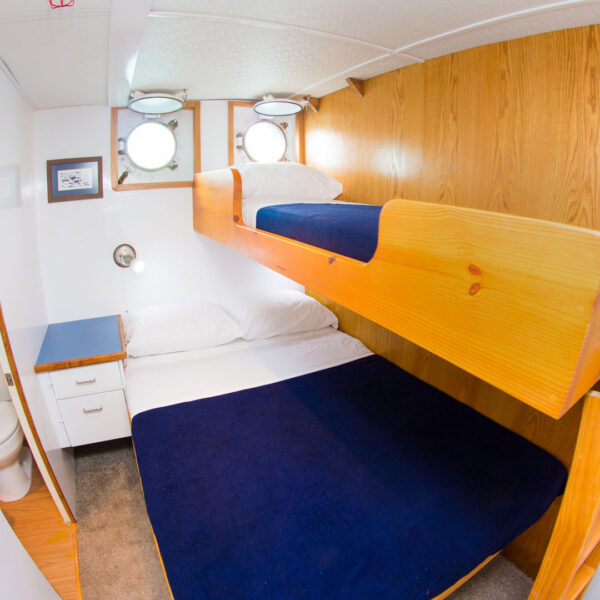 Bunk Bed Cabin Cachalote Explorer Galapagos Cruise