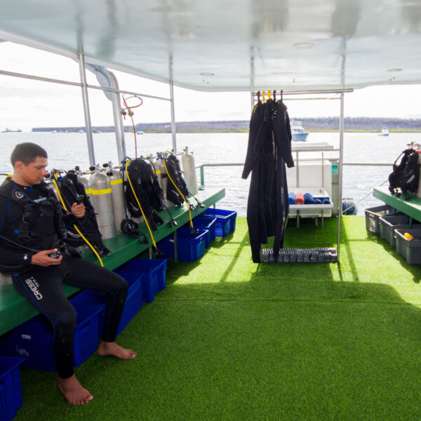 Diving Platform Danubio Azul Galapagos Yacht
