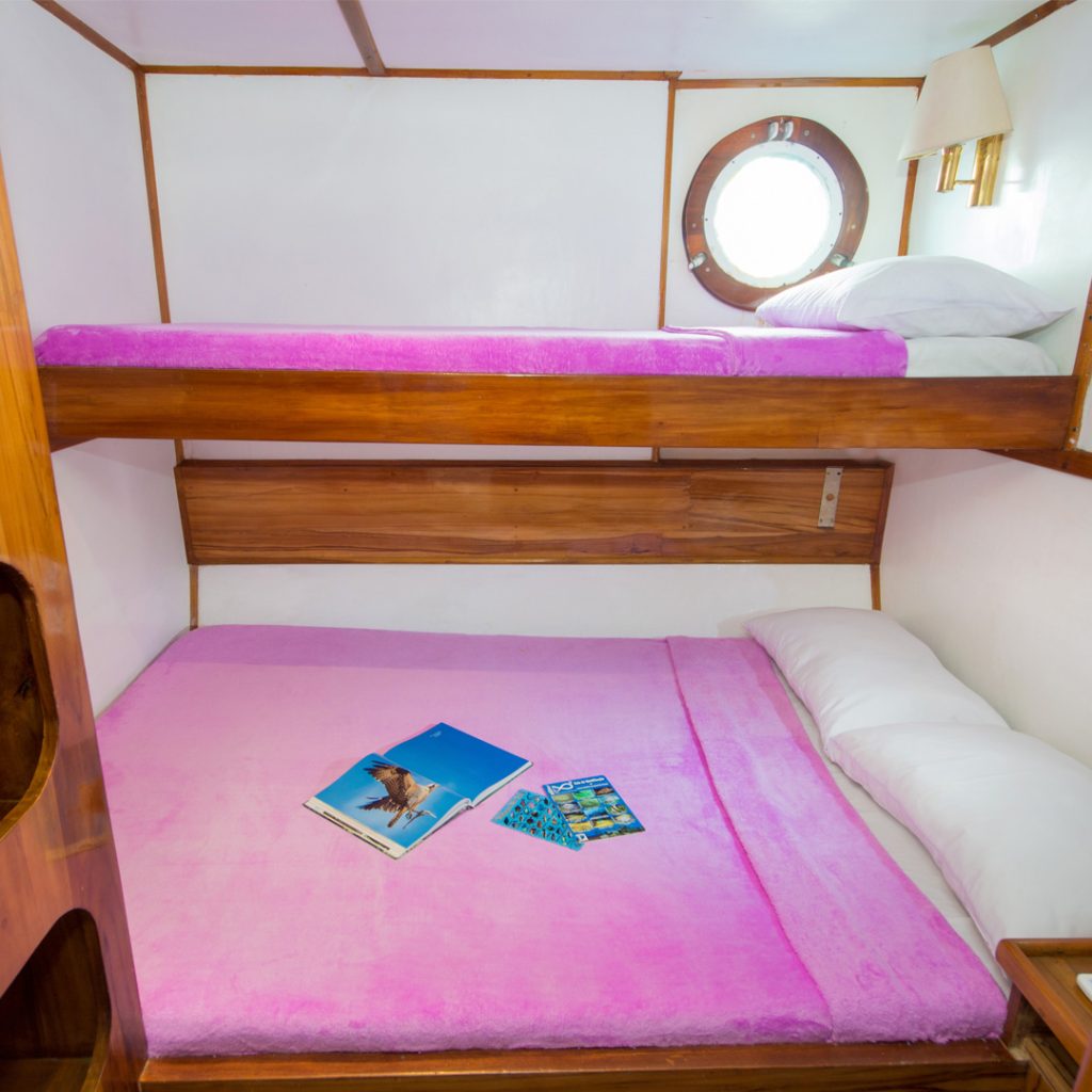 Upper Deck Cabin Danubio Azul Galapagos Yacht