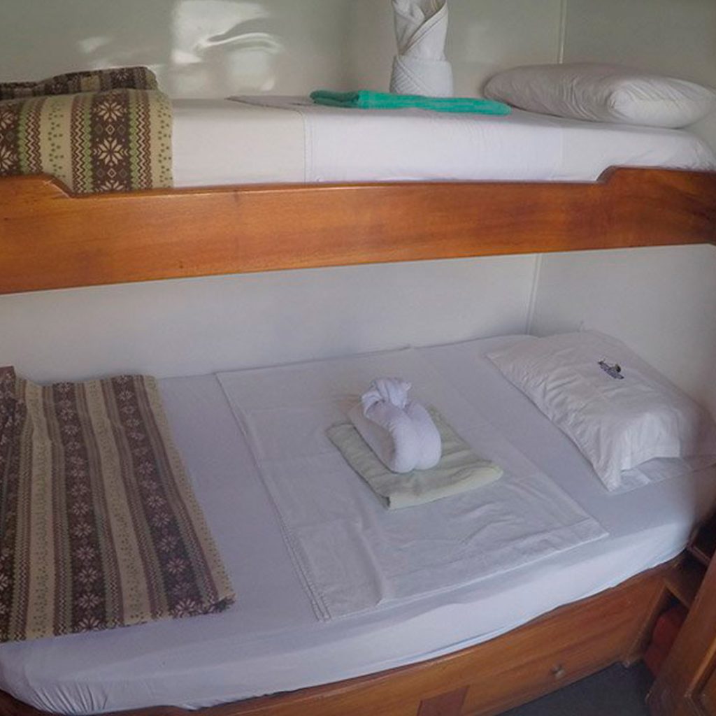 Bunk Bed Cabin Darwin Galapagos Yacht