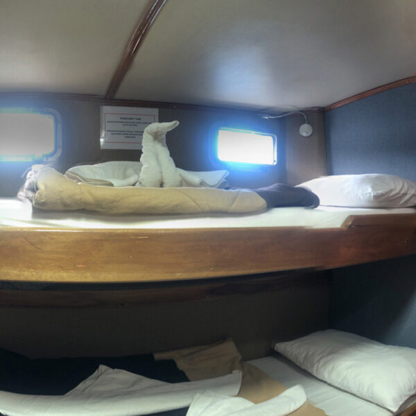 Bunk Bed Cabin Golondrina Galapagos Yacht