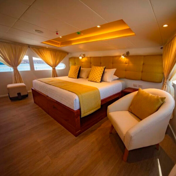 Suite Grand Daphne Galapagos Cruise