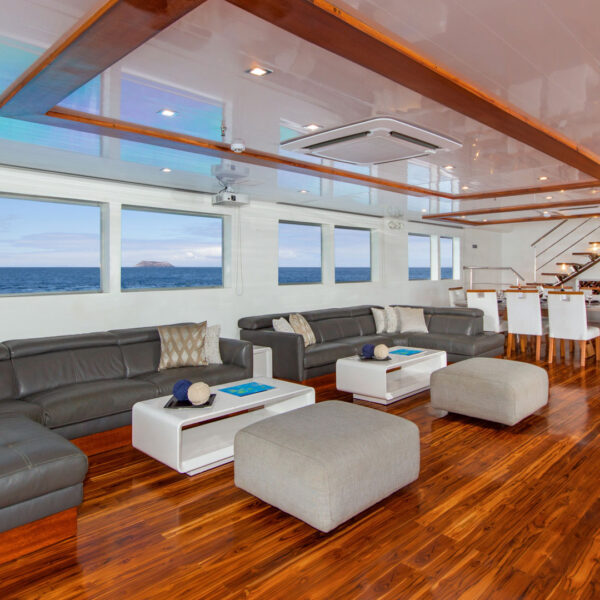 Lounge Infinity Galapagos Cruise