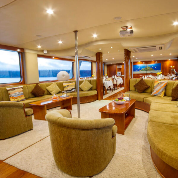 Lounge Integrity Galapagos Cruise