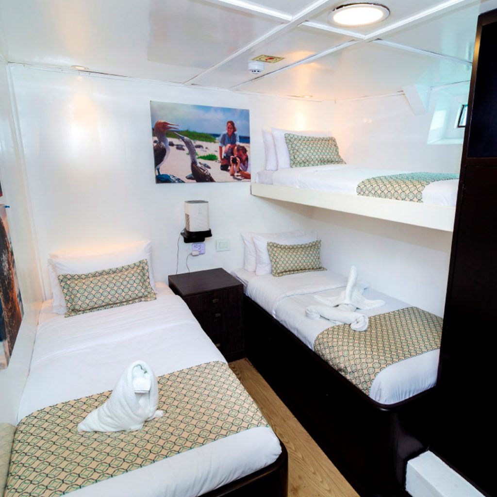 Triple Bed Cabin Monserrat Galapagos Cruise