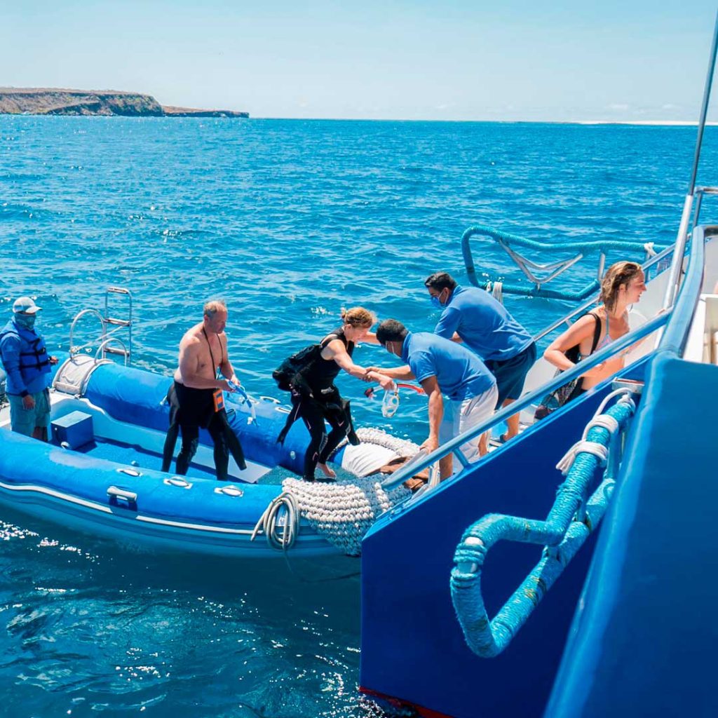 Activities Ocean Spray Galapagos Catamaran