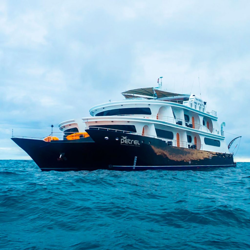Petrel Galapagos Catamaran