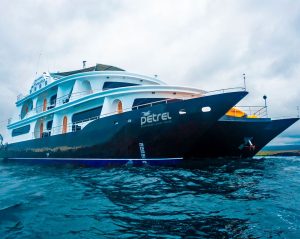 Petrel Galapagos Catamaran