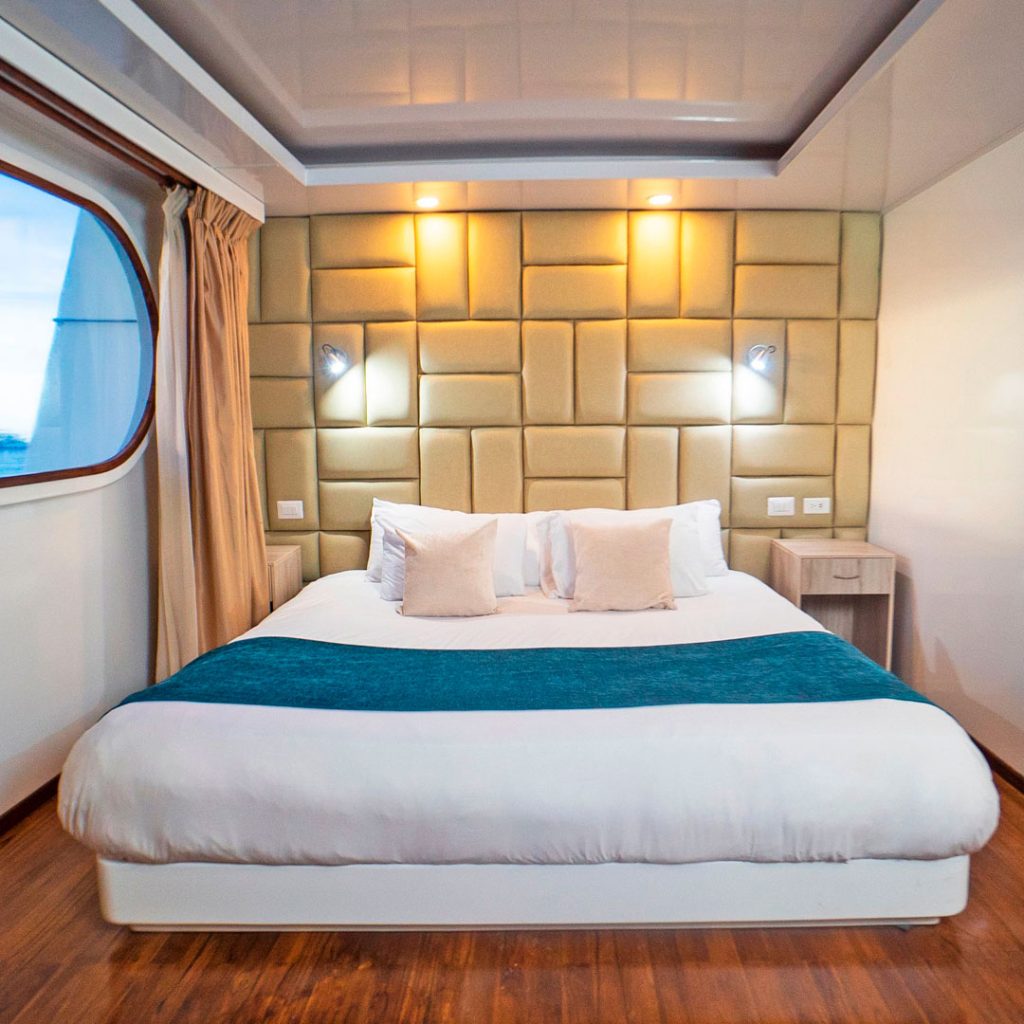 Golden Suite Petrel Galapagos Catamaran
