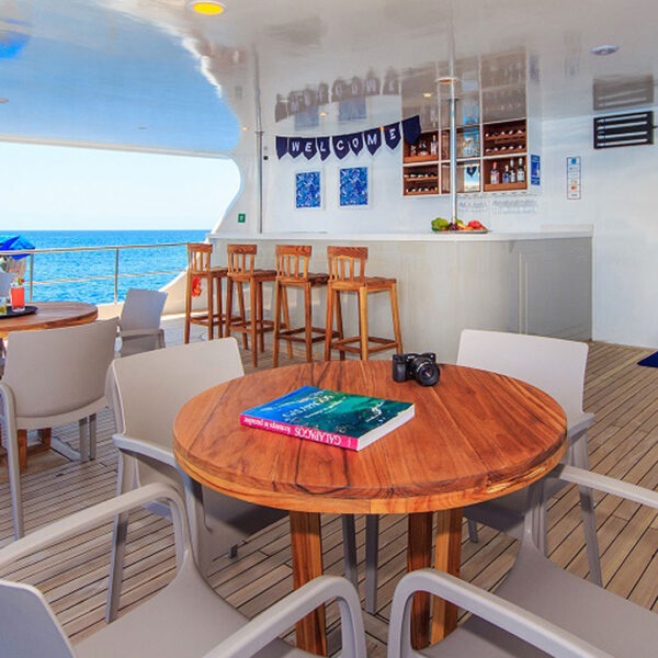 Bar Tip Top V Galapagos Cruise