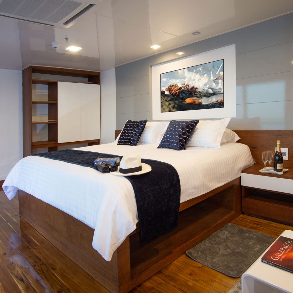 Suite Infinity Galapagos Cruise
