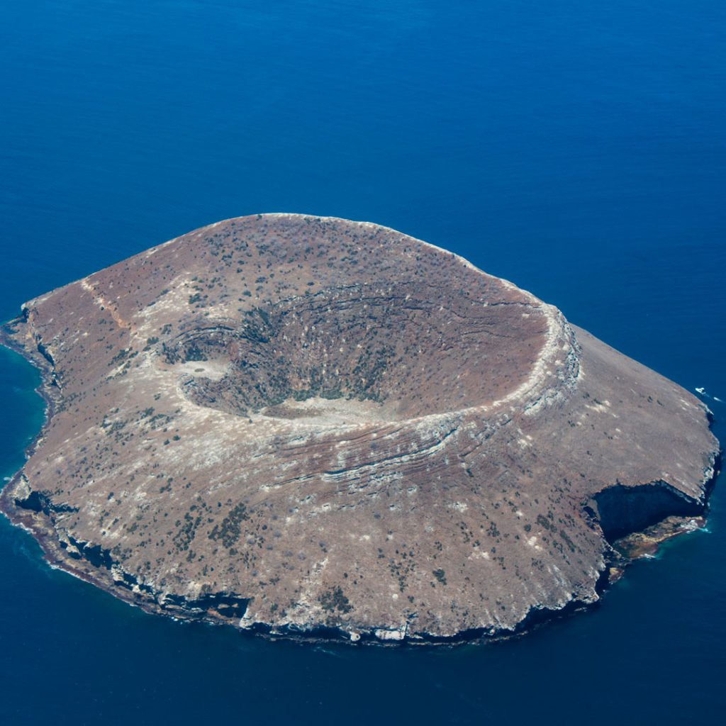 Daphne Major Galapagos Island