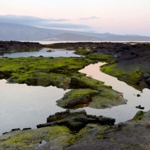 Espinoza Point Galapagos Islands