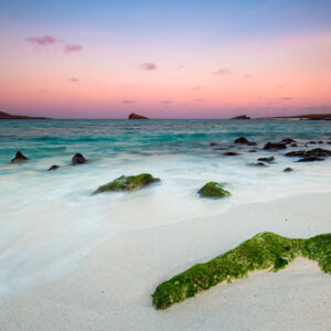 Gardner Bay Galapagos Islands