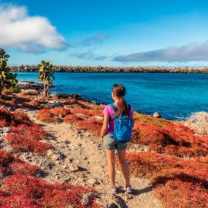 A walk on North Seymour Galapagos Islands