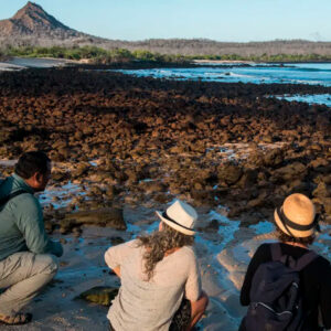 Dragon Hill Galapagos Islands